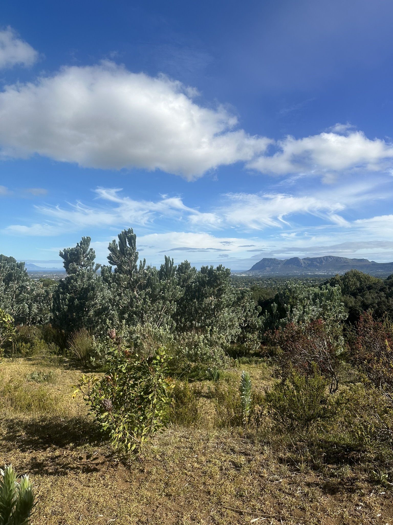 South Africa - Image 596